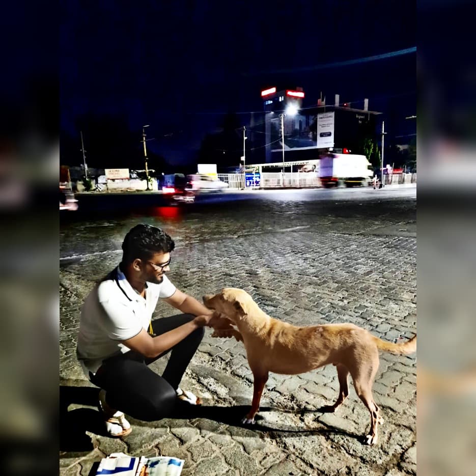 dog